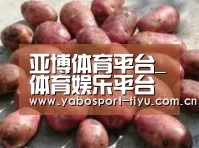 产品展示标题5