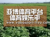 种植基地五