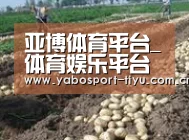 种植基地七(图1)