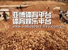 种植基地二
