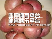 产品展示标题1