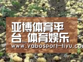 种植基地七