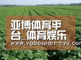 种植基地五(图1)