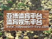 种植基地八(图1)