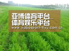 种植基地四