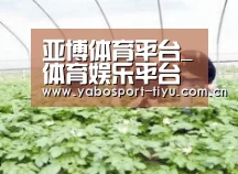 种植基地三