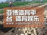 种植基地八