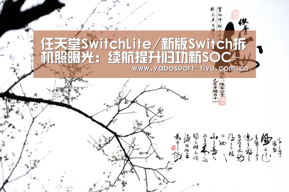 任天堂SwitchLite/新版Switch拆机照曝光:续航提升归功新SOC-亚博体育(图3) 亚博官网