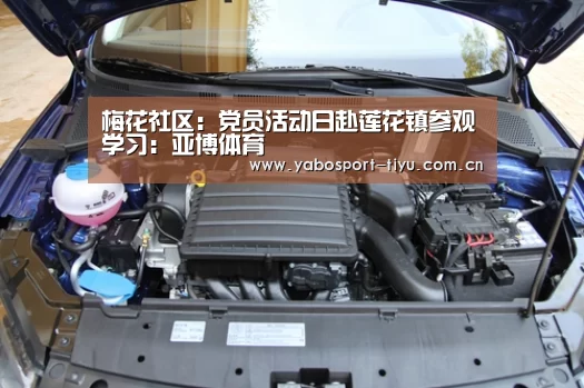 梅花社区:党员活动日赴莲花镇参观学习:亚博体育(图1) 操作流畅