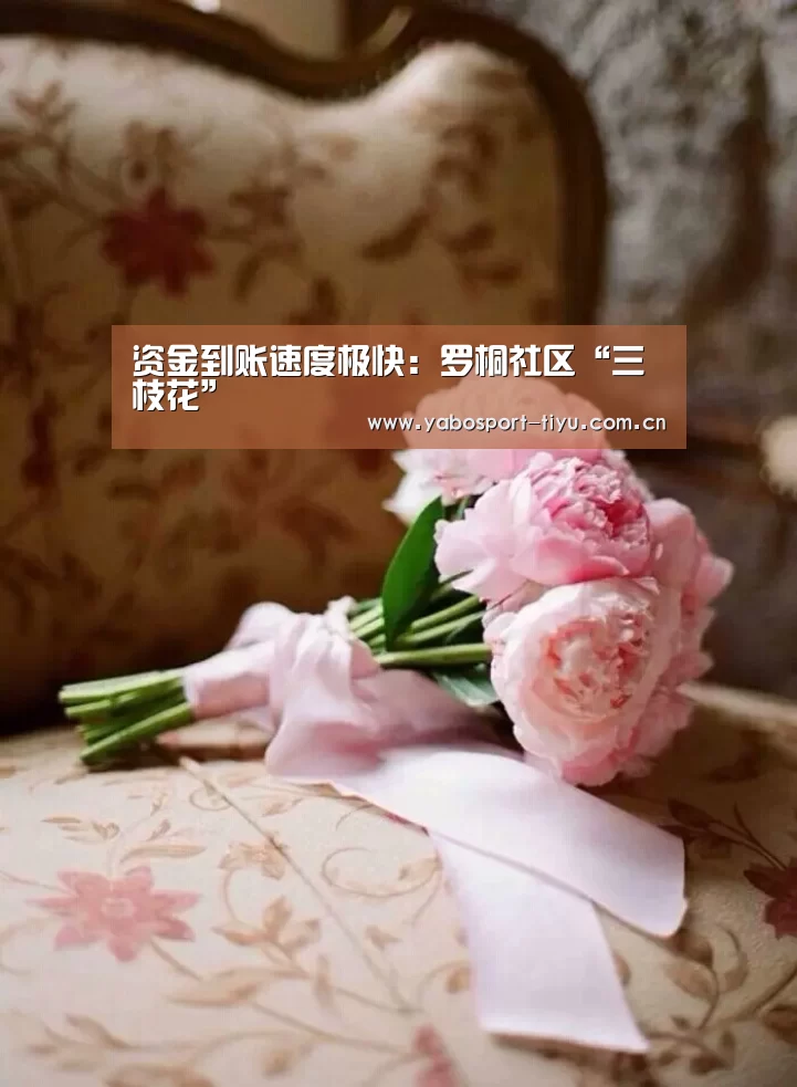 资金到账速度极快:罗桐社区“三枝花”(图2) 资金到账速度极快