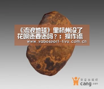 《流浪地球》里杭州没了 花呗还要还吗?:操作流畅(图2) 亚博体育
