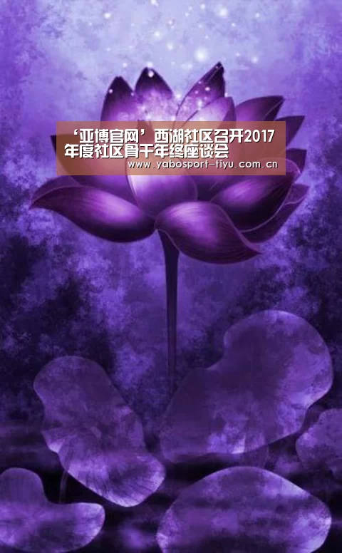 ‘亚博官网’西湖社区召开2017年度社区骨干年终座谈会(图2) 亚博体育