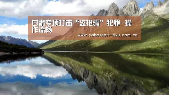 甘肃专项打击“盗抢骗”犯罪-操作流畅(图2) 资金到账速度极快